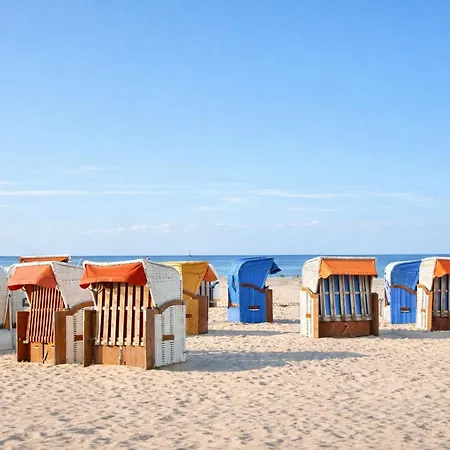 Strandmuschel Schillig